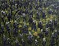 Among the Bluebonnets