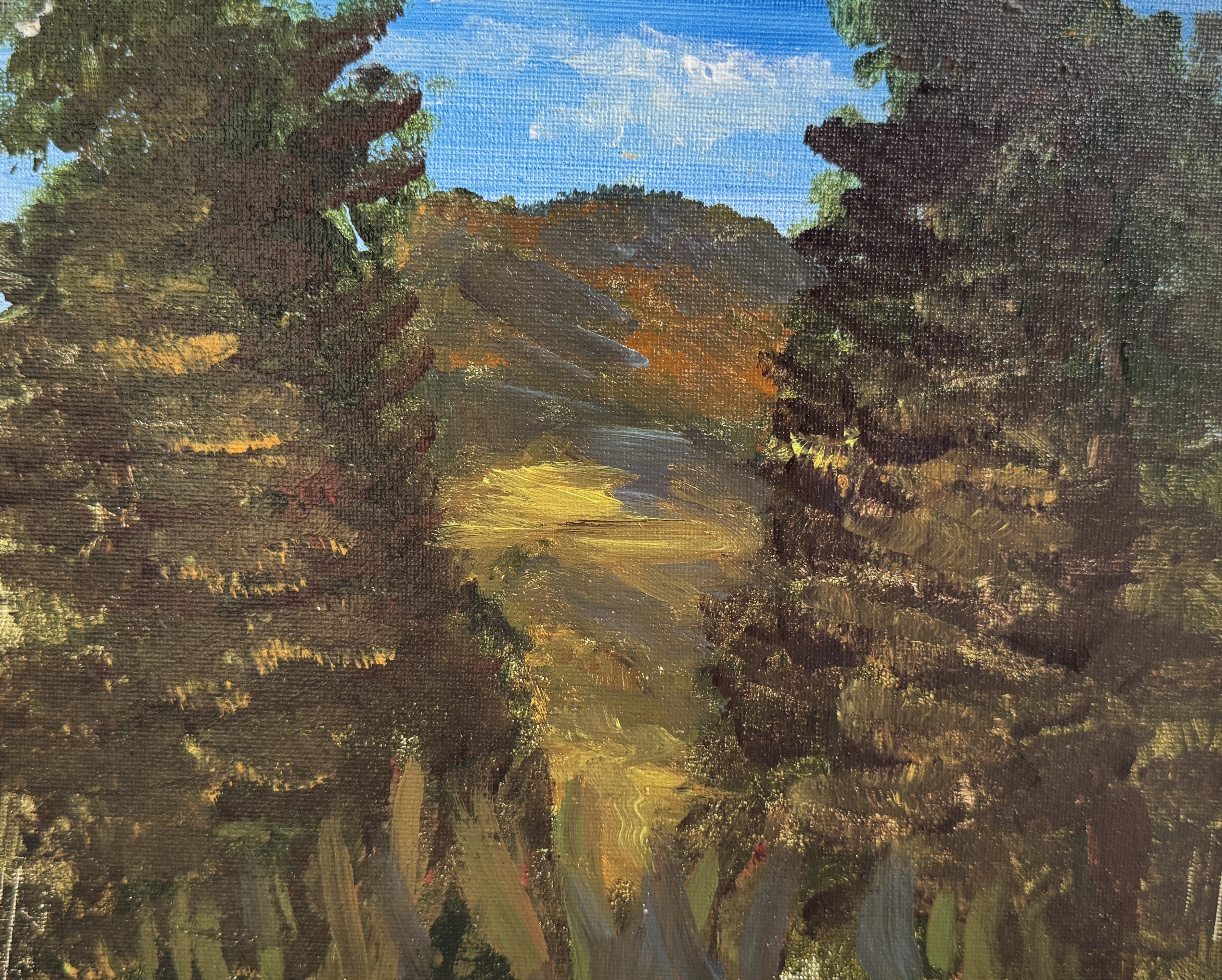 Break in the Trees