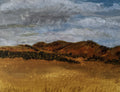 Caldera Grasslands