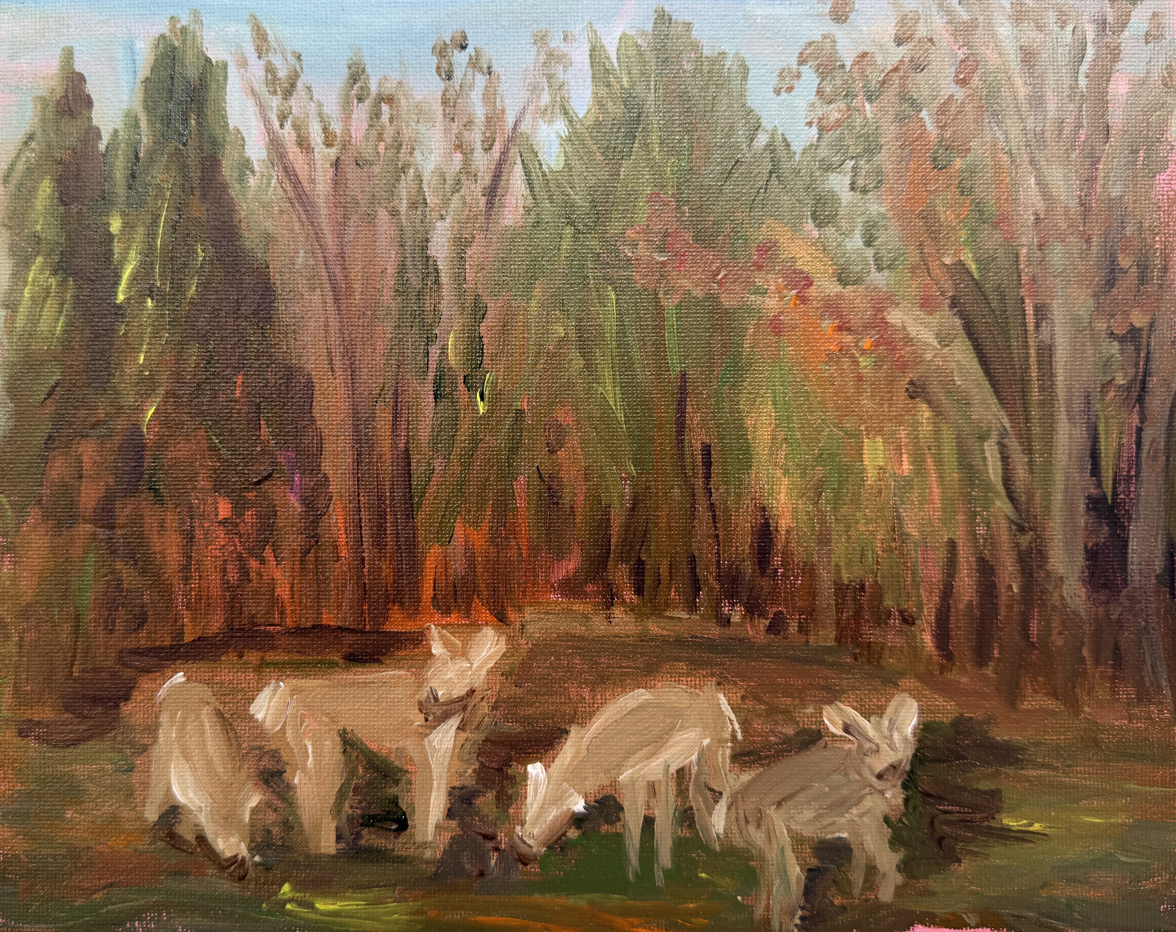 Edge of the Woods