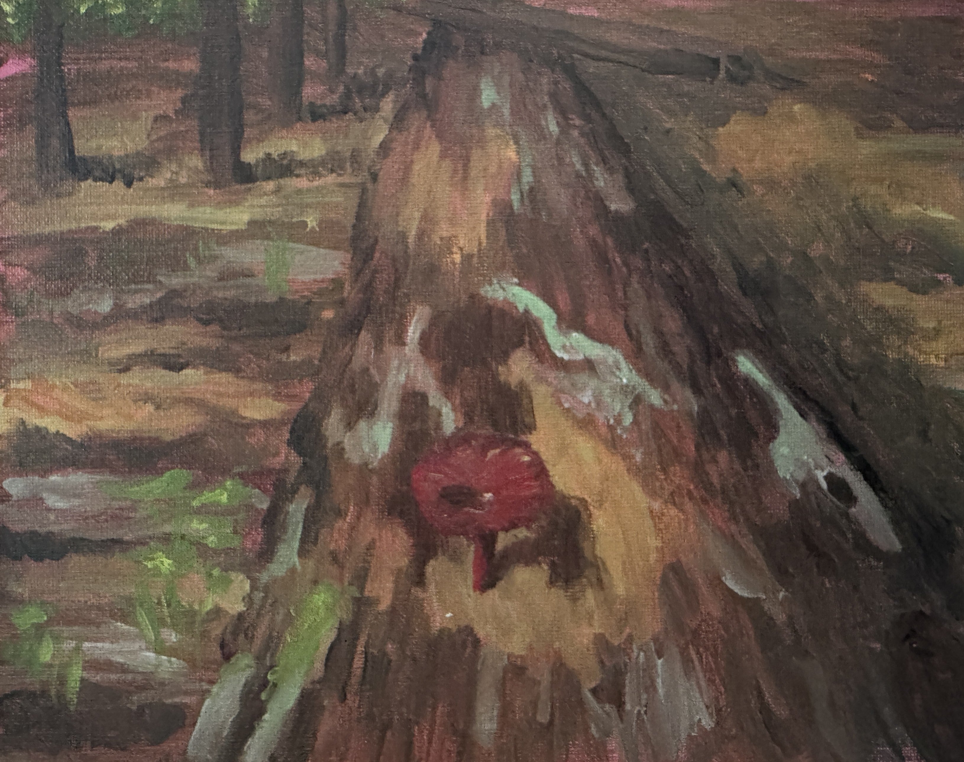 Life on the Stump