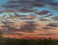 South Texas Dusk